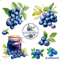 Transfer Têxtil Litoarte 13,5x13,5cm TTQ4-082 Fruta Blueberry