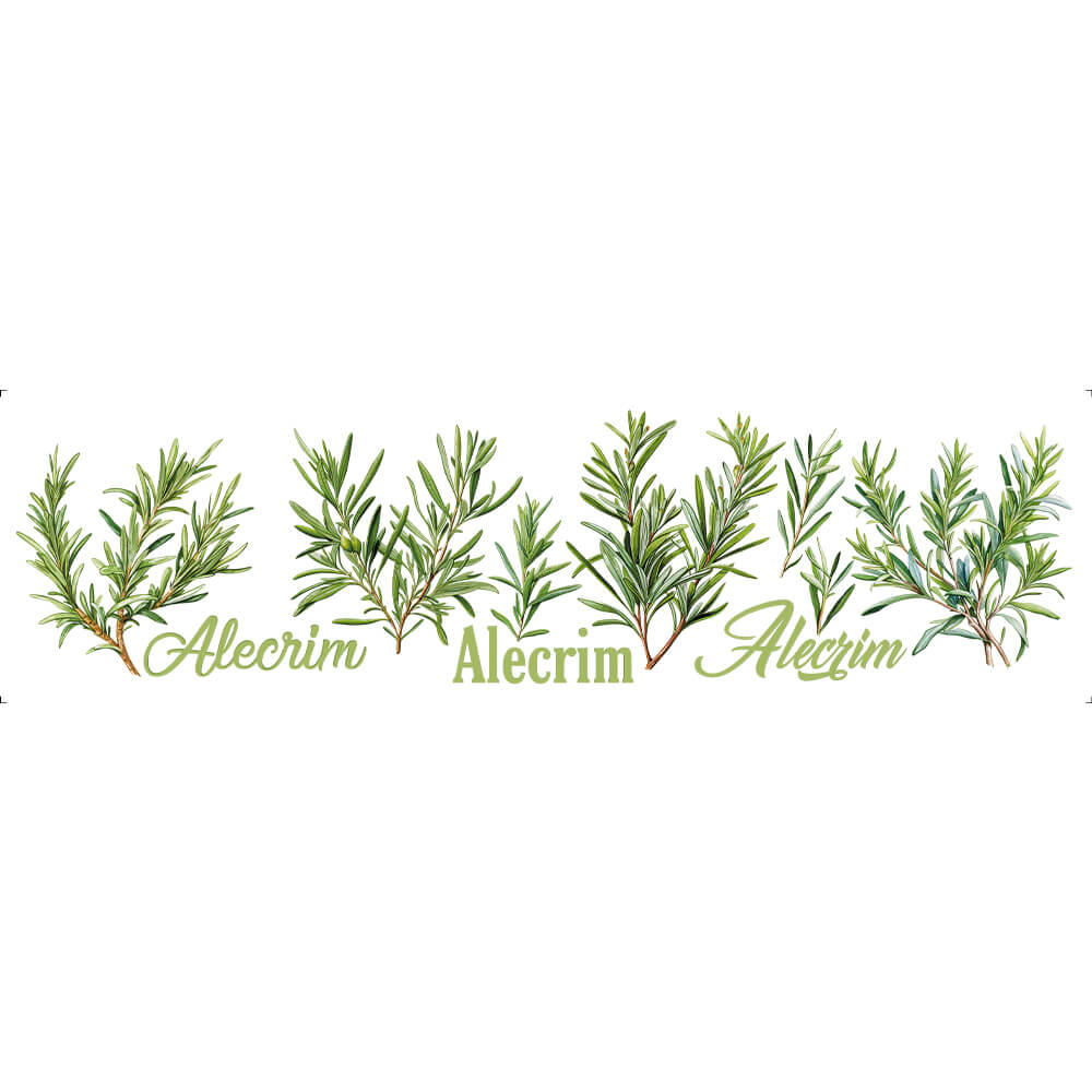 Transfer Têxtil Litoarte 24x7 TTB4L-007 Lili Negrão Alecrim