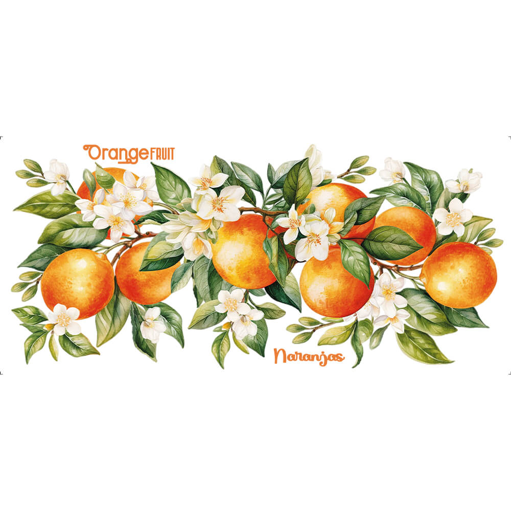 Transfer Têxtil Litoarte 27,5x12,8 TTB5-018 Barrado Laranjinha