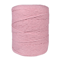 Barbante Euroroma Spesso 24 fios 1Kg 4/24 com 254m - Palácio da Arte