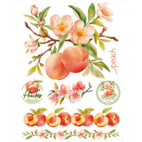 Transfer Têxtil Litoarte 20x27,5cm TTR6-026 Pêssegos