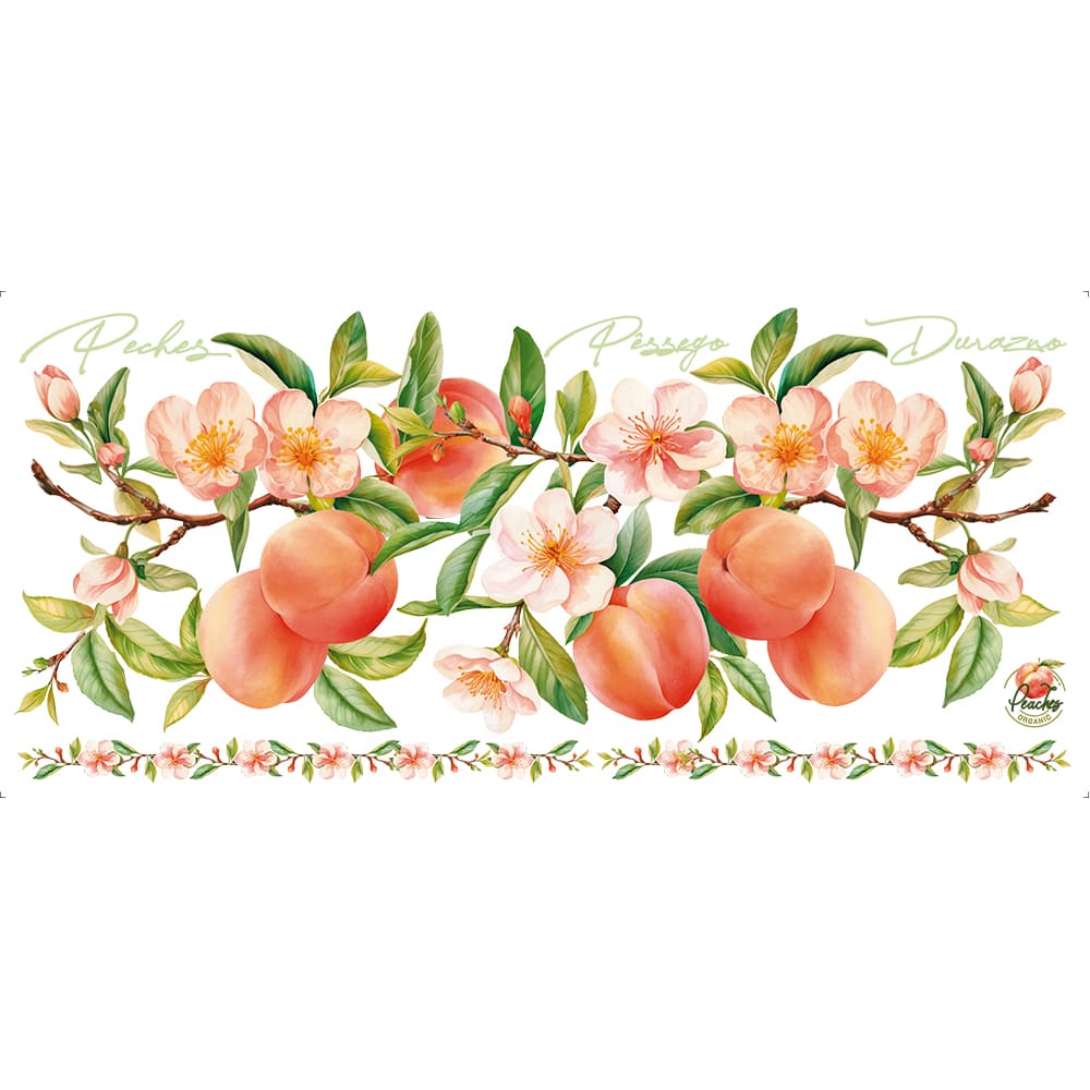 Transfer Têxtil Litoarte 27,5x12,8 TTB5-020 Barrado Pêssegos