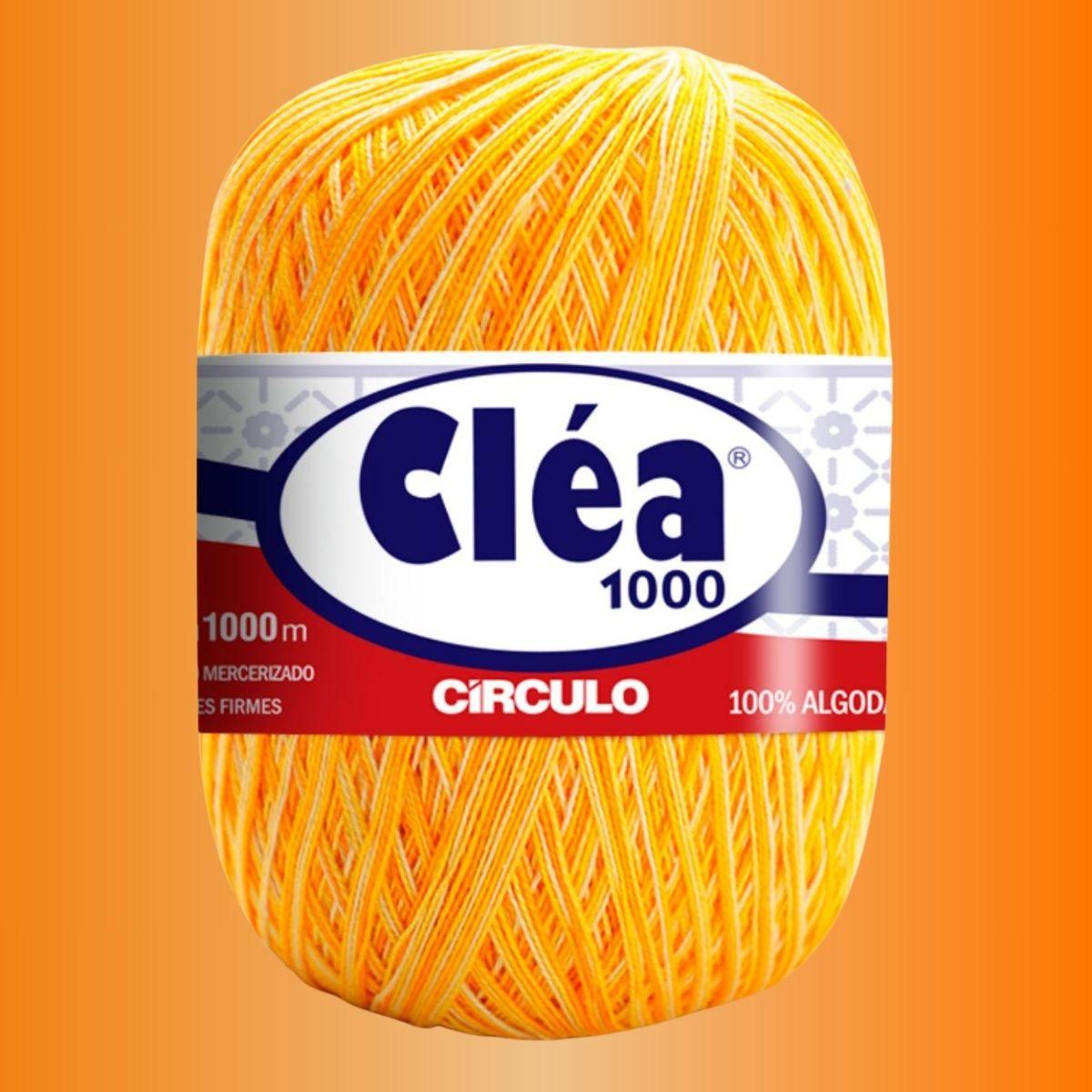 Fio Cléa 1000 Círculo Mesclado 151g com 1000m - Palácio da Arte