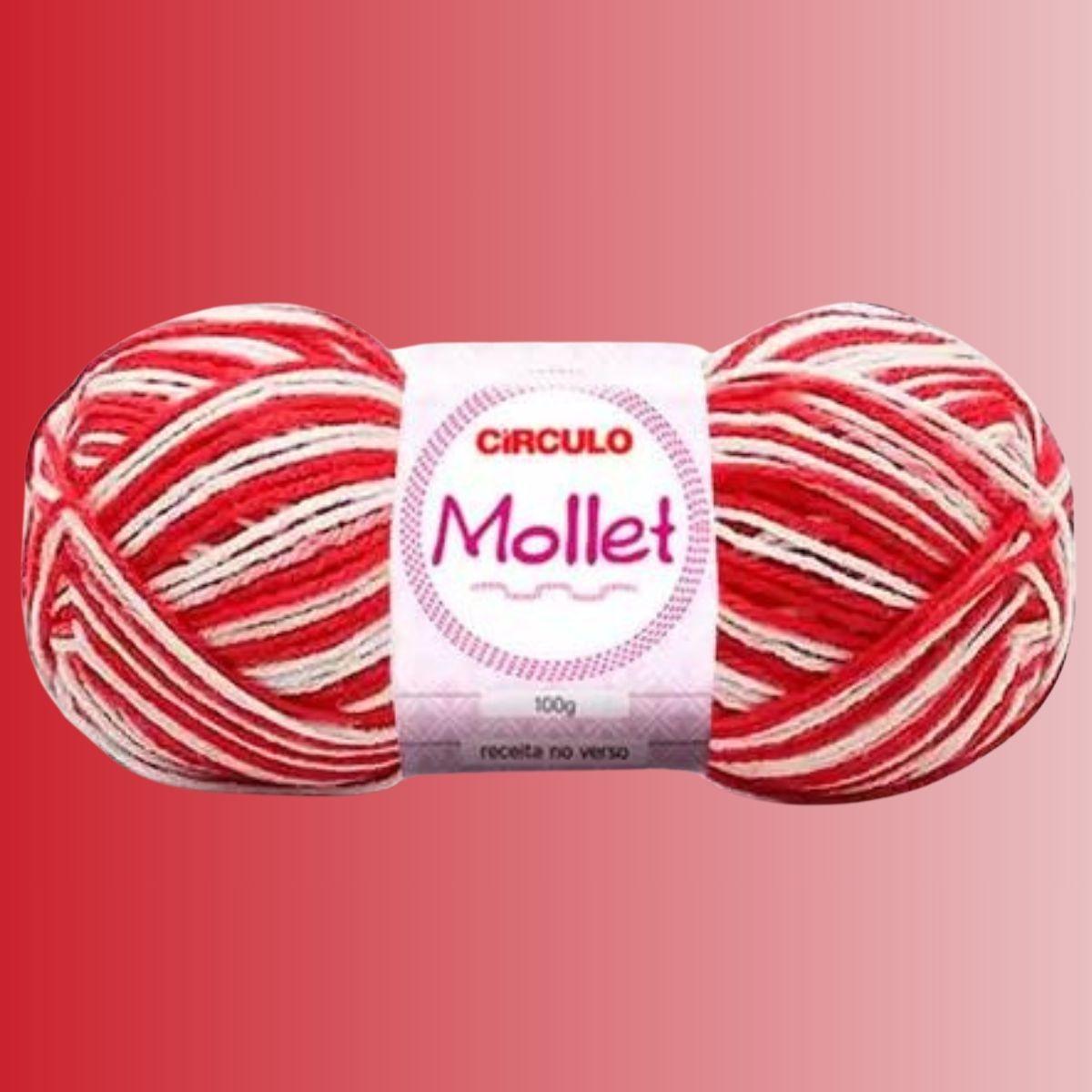 Fio de Lã Mollet Mesclado 100g com 200m - Palácio da Arte