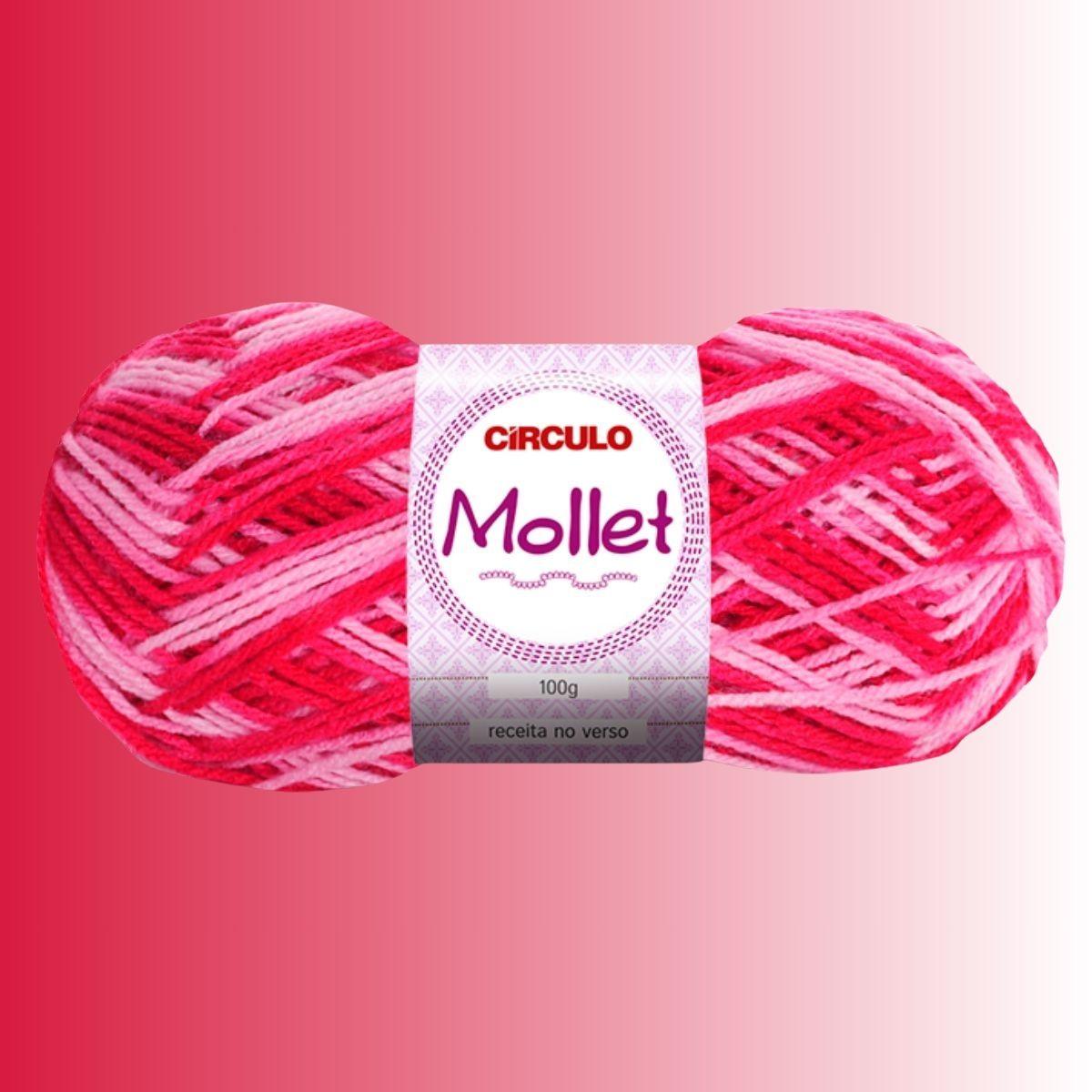 Fio de Lã Mollet Mesclado 100g com 200m - Palácio da Arte