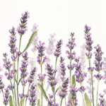 Guardanapo de Papel Decoupage 25x25 Tons de Lavanda 12515985 - Palácio da Arte