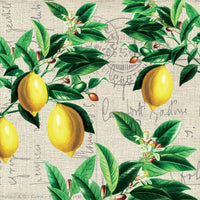 Guardanapo de Papel Decoupage 33x33 Capri 1333620 - Palácio da Arte