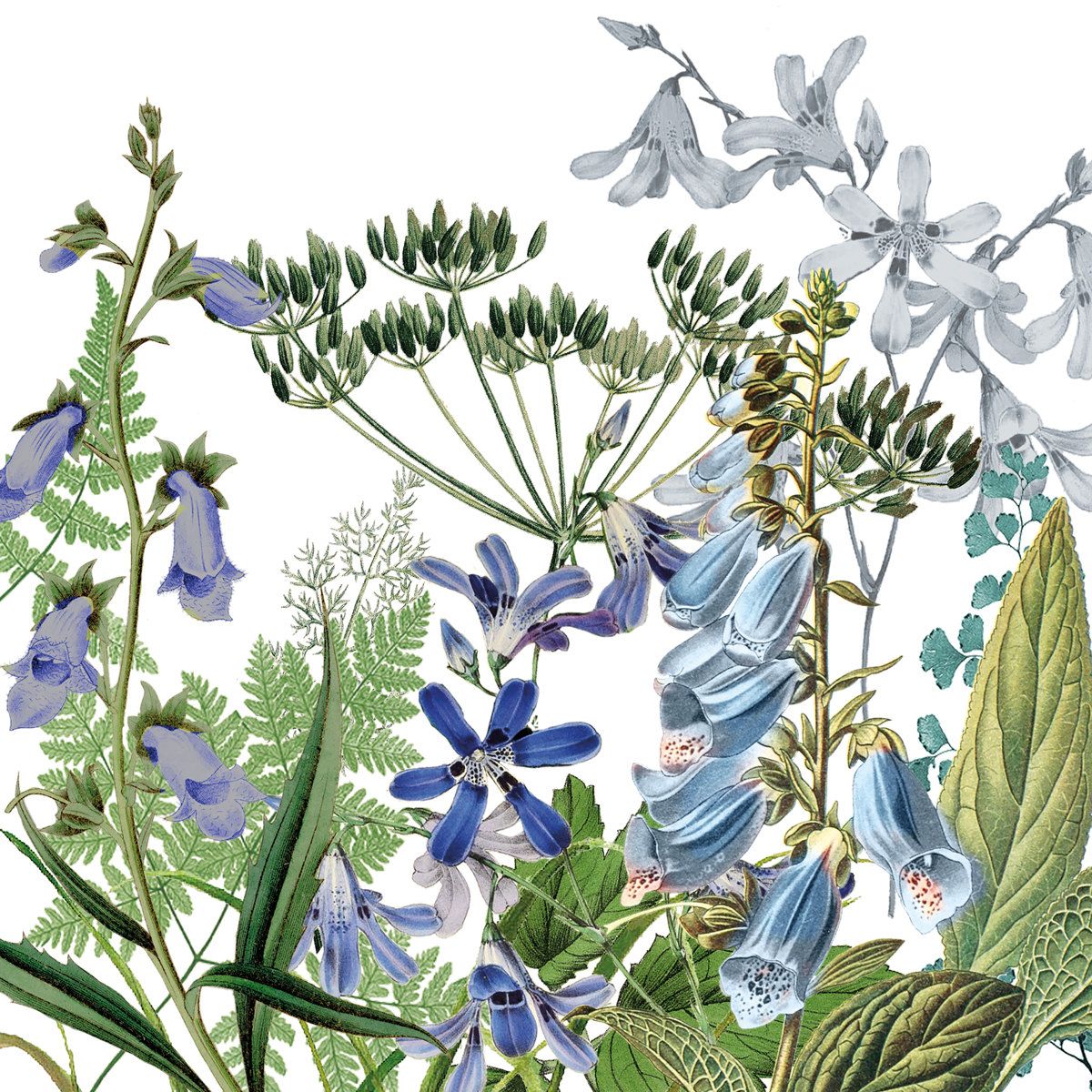 Guardanapo de Papel Decoupage 33x33 Donatella 133002606 - Palácio da Arte