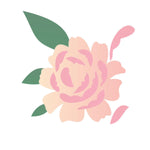 Stencil OPA 10x30 1793 Flor Camelia - Palácio da Arte