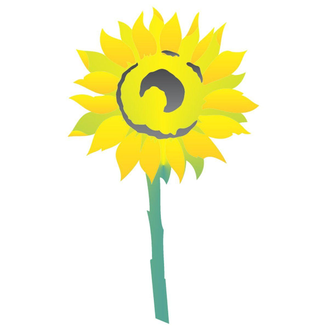 Stencil OPA 20x25 2062 Flor Girassol II - Palácio da Arte