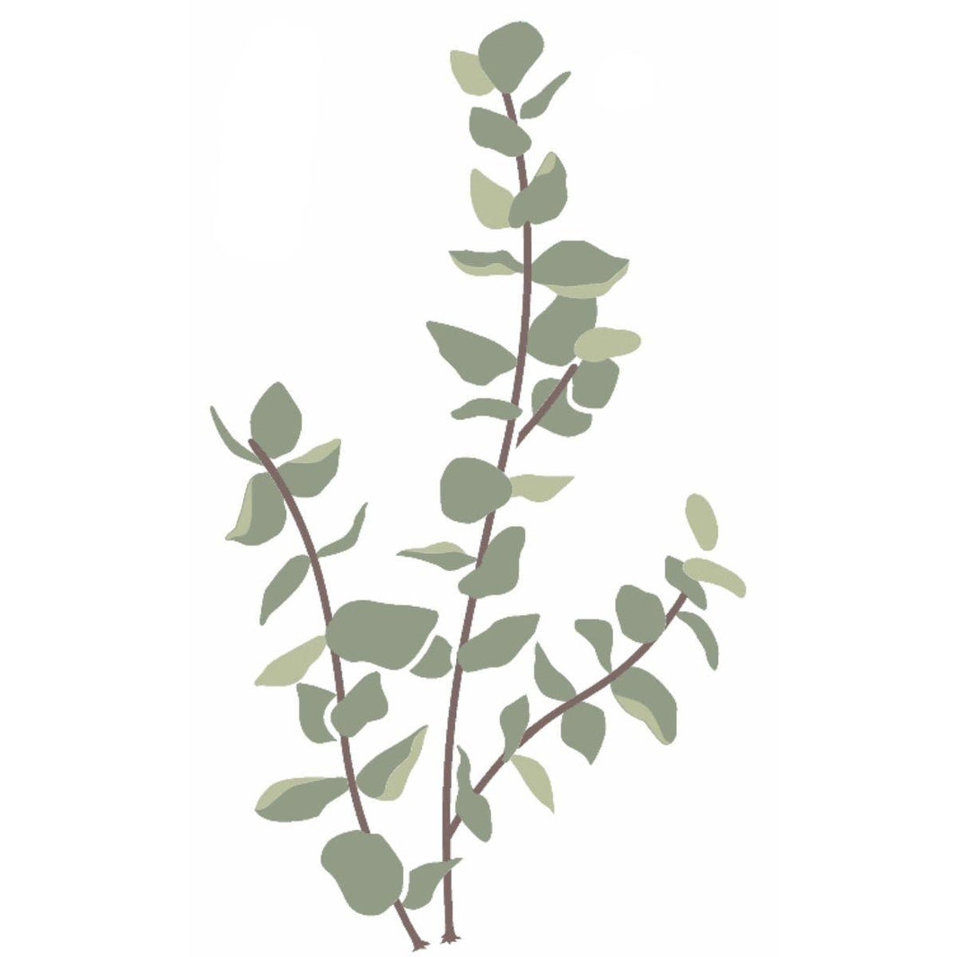 Stencil OPA 20x25 3223 Plantas Eucalipto - Palácio da Arte