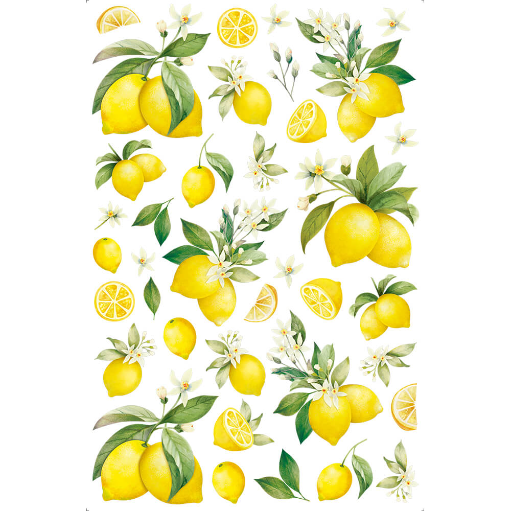 Transfer de Imagem Litoarte 19,5x29,5 TIB-003 Limões I - Palácio da Arte