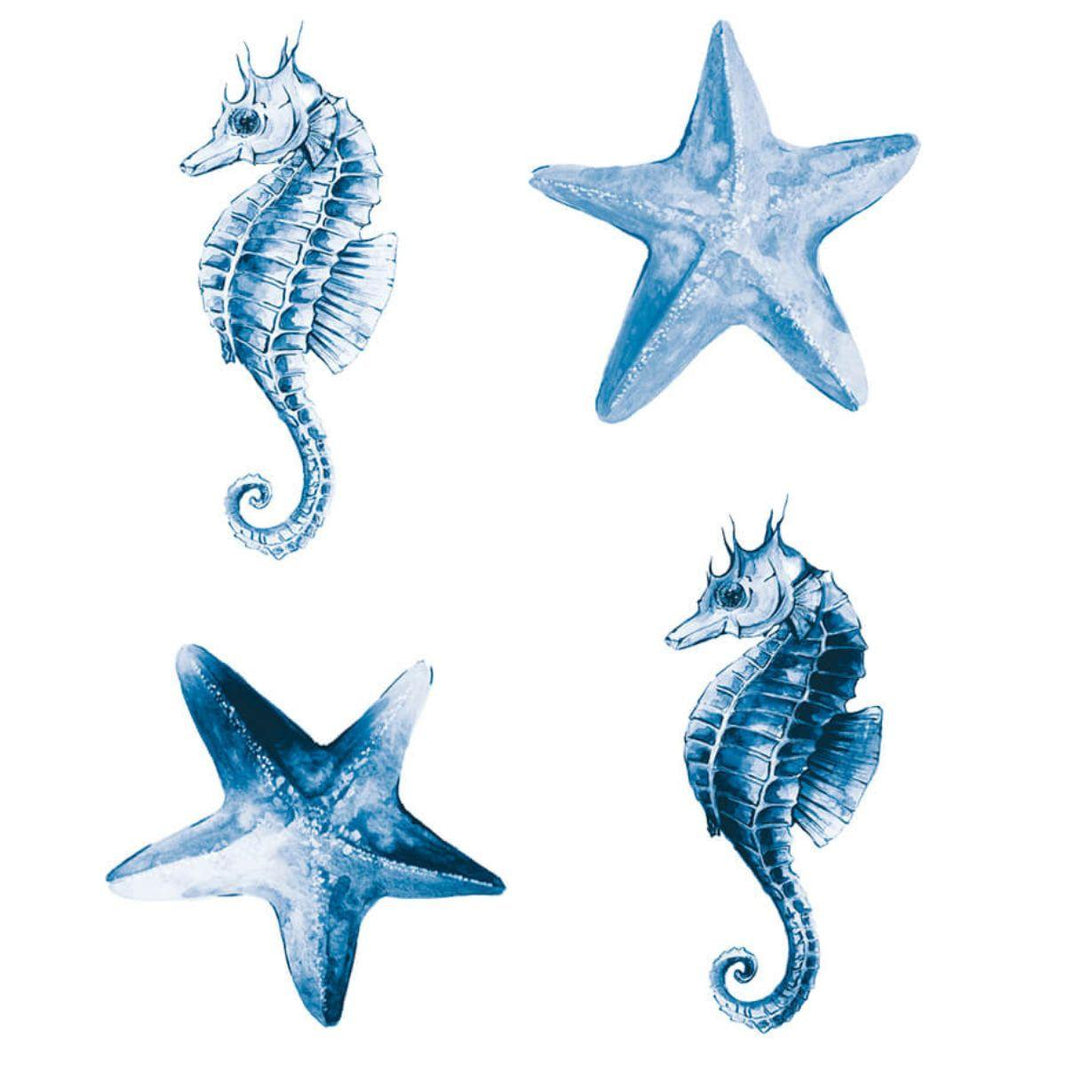 Aplique Litoarte APM3-331 3cm Marítma 4 peças - Palácio da Arte
