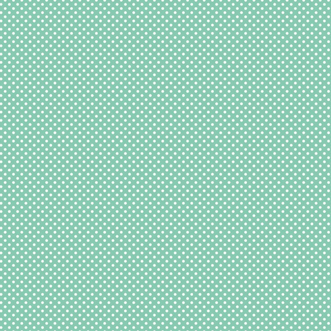 Papel Scrapbook Essencial Litoarte SE-004 Poá Branco e Verde 30,5x30,5cm - Palácio da Arte
