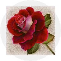 Decoupage - Arte Francesa