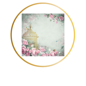 Opa Papel Scrapbooking