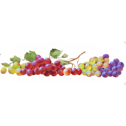 Transfer Têxtil 10x30cm  Opa 3829 Frutas Uvas