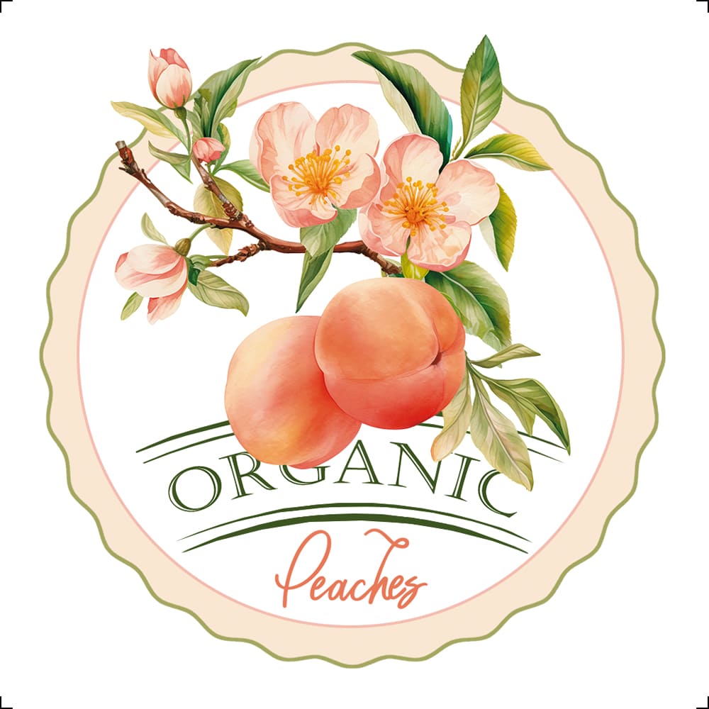 Transfer Têxtil Litoarte 8x8cm TTQ2-005 Fruta Pêssegos