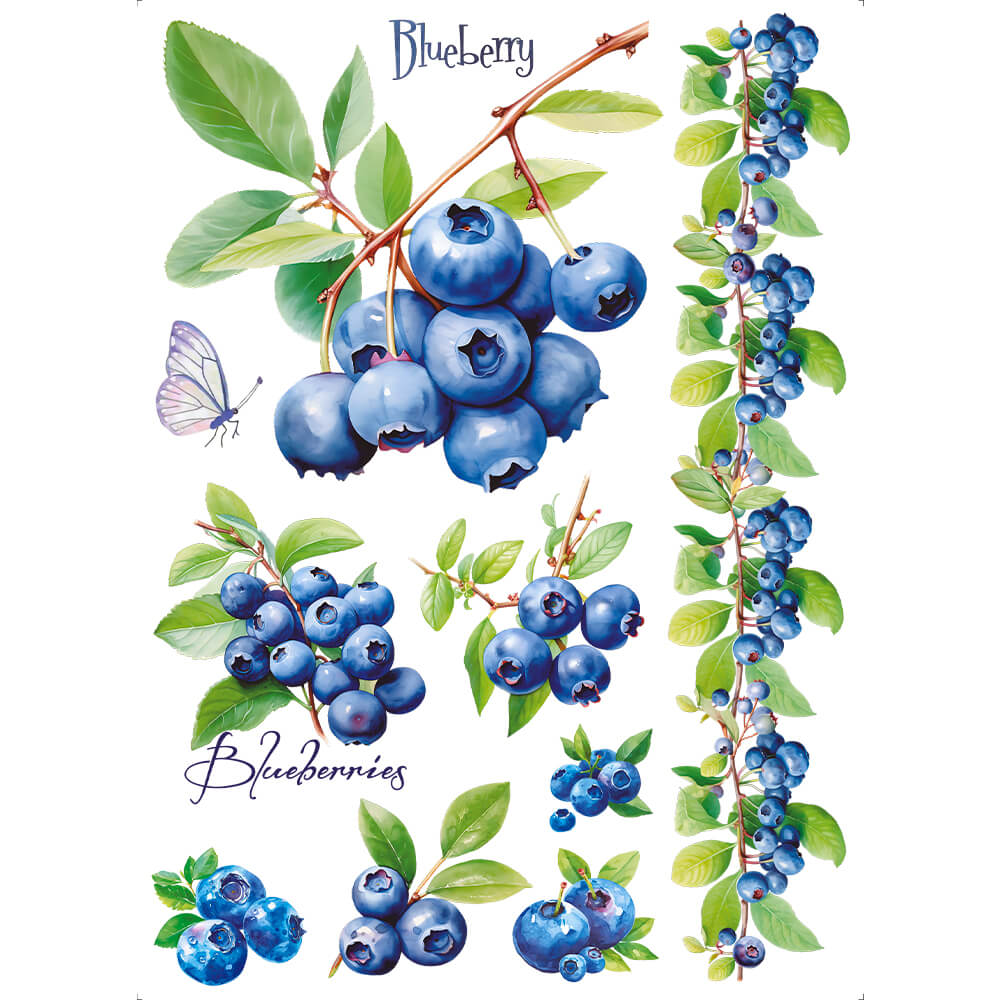 Transfer Têxtil Litoarte 20x27,5cm TTR6-032 Blueberry