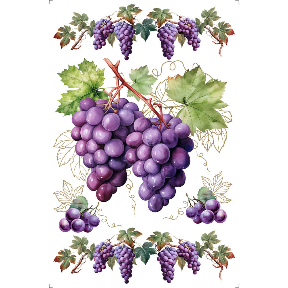 Transfer de Imagem Litoarte 19,5x29,5cm TIB-079 Uvas