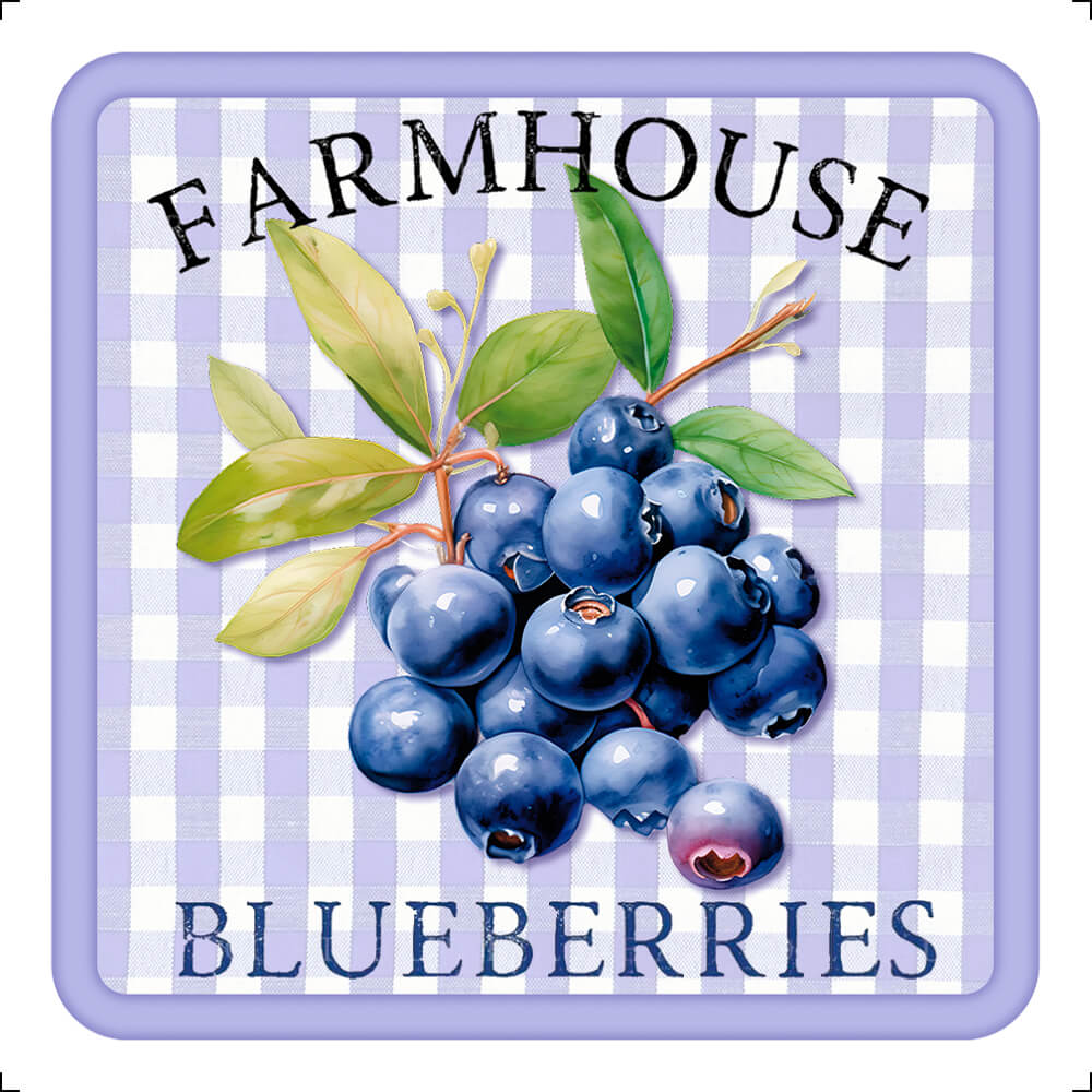 Transfer Têxtil Litoarte 8x8cm TTQ2-007 Fruta Blueberry