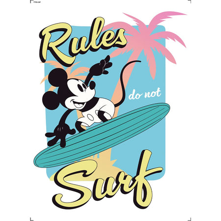 Transfer Têxtil 20x27,5cm TTR6-087 Rules Surf