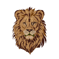 Stencil OPA 20x25 3847 Animais Leão