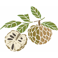 Stencil OPA 15x20 3788 Feirinha Estamparia Fruta do Conde Pinha