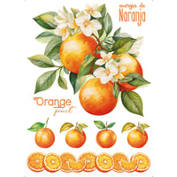 Transfer Têxtil Litoarte 20x27,5cm TTR6-022 Laranjinha