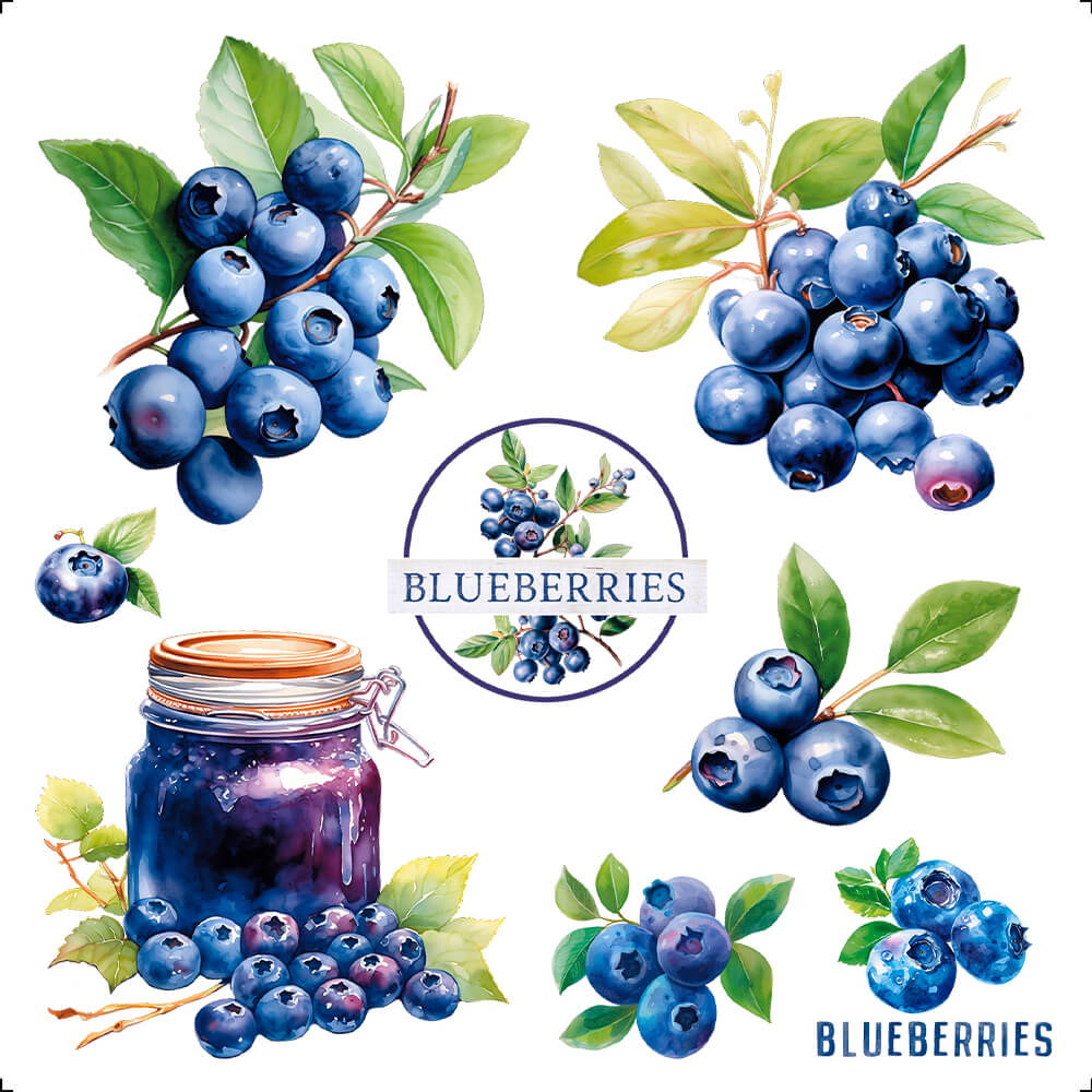 Transfer Têxtil Litoarte 13,5x13,5cm TTQ4-082 Fruta Blueberry