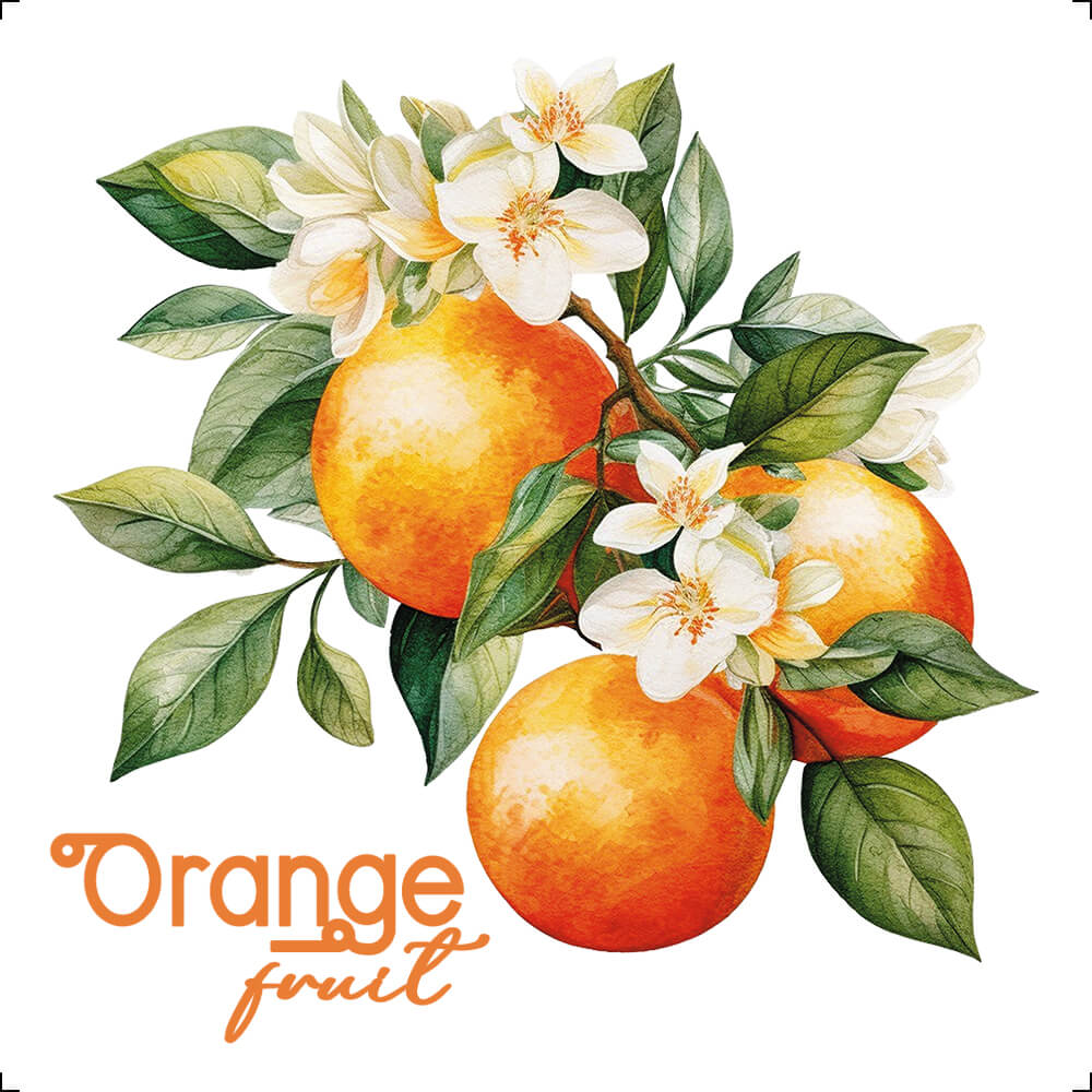 Transfer Têxtil Litoarte 8x8cm TTQ2-003 Fruta Laranjinha