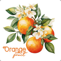Transfer Têxtil Litoarte 8x8cm TTQ2-003 Fruta Laranjinha