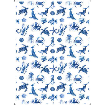 Transfer Têxtil 20x27,5cm TTR6-036 Fundo do Mar