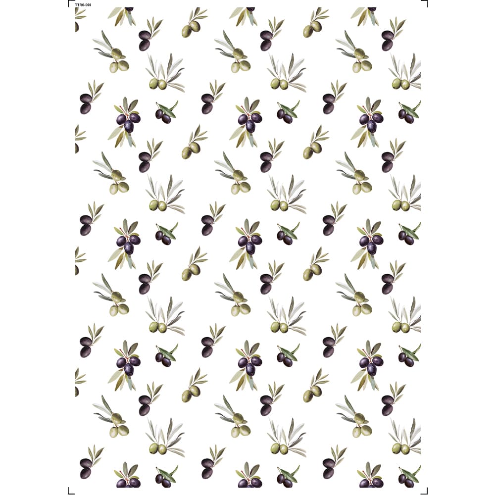 Transfer Têxtil 20x27,5cm TTR6-069 Azeitonas
