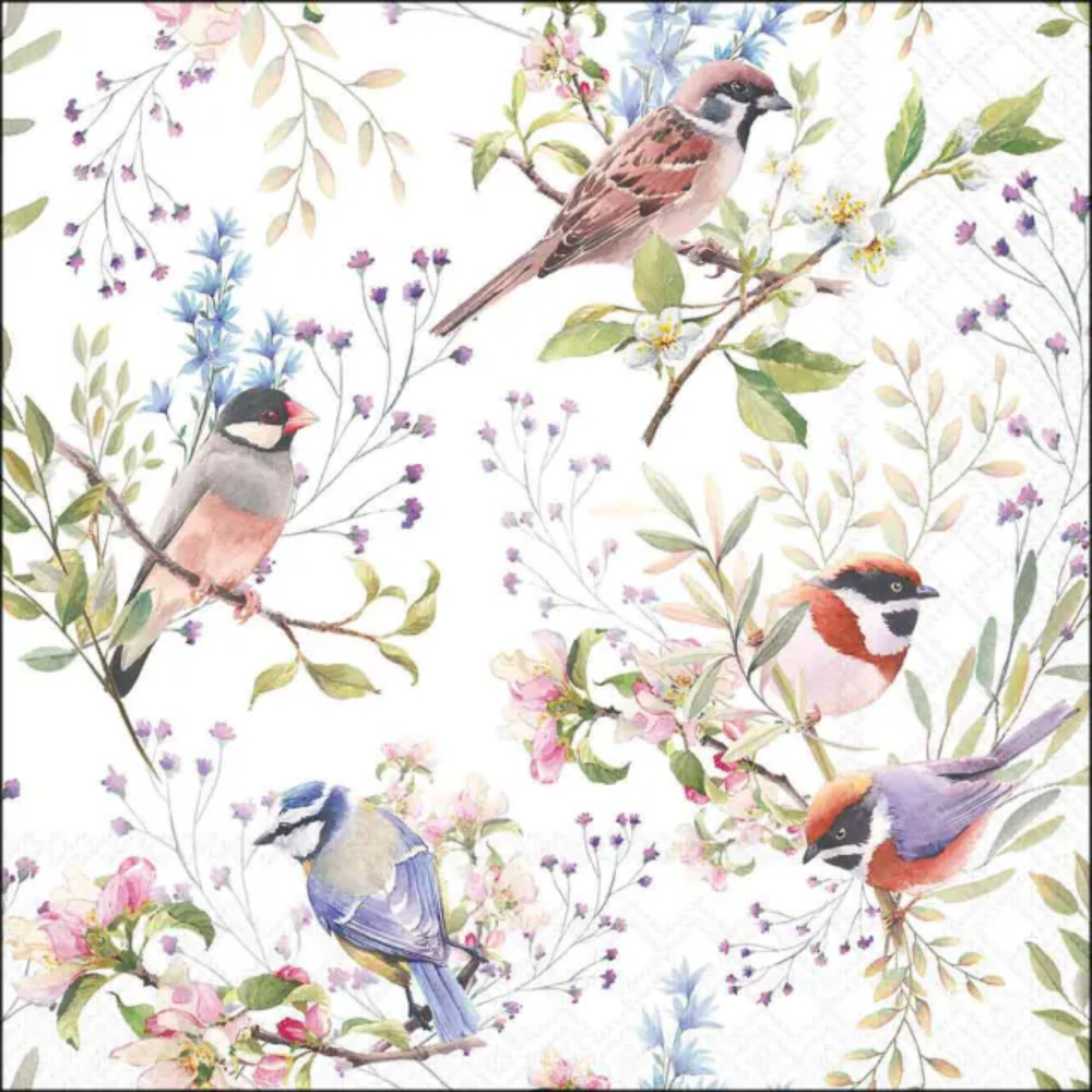 Guardanapo de Papel Decoupage 33x33 Busy Birds 13320390