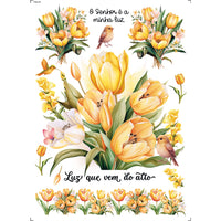 Transfer Têxtil 20x27,5cm TTR6-072 O Senhor é minha Luz