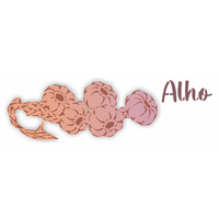 Stencil OPA 10x30 3726 Feirinha Tempero Alhos