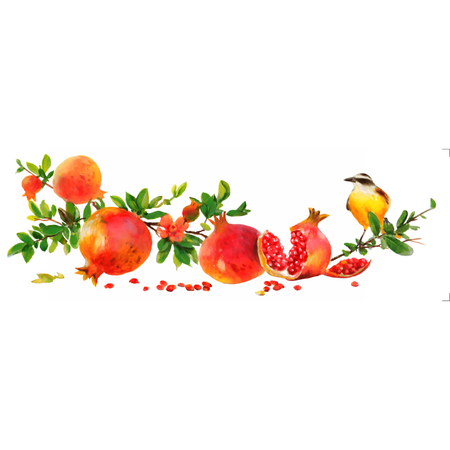 Transfer Têxtil 10x30cm  Opa 3828 Frutas Romãs