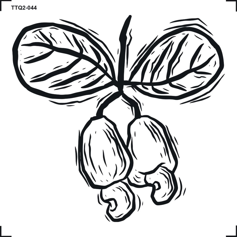 Transfer Têxtil 8x8cm TTQ2-044 Fruta Caju