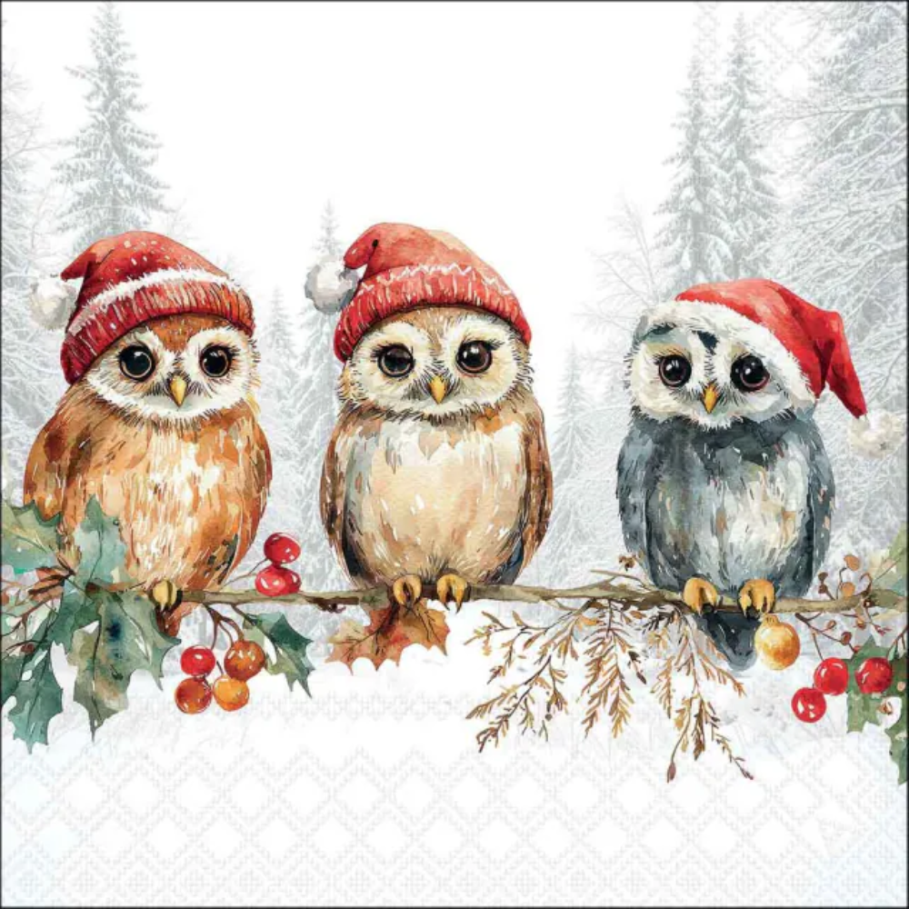 Guardanapo de Papel Decoupage 33x33 Natal Wise Owls 33321095