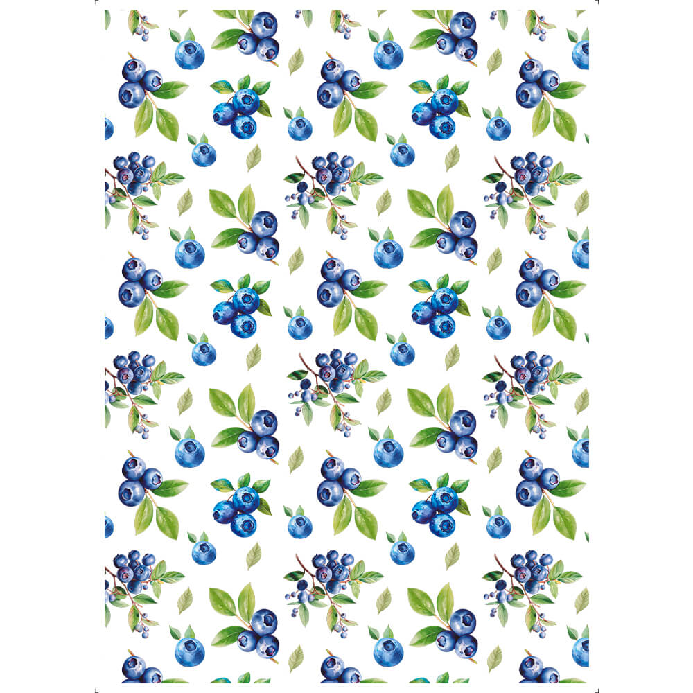 Transfer Têxtil Litoarte 20x27,5cm TTR6-033 Blueberry Textura