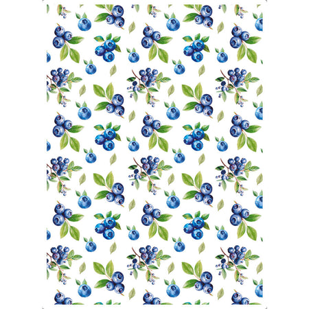 Transfer Têxtil Litoarte 20x27,5cm TTR6-033 Blueberry Textura