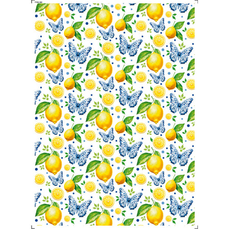 Transfer Têxtil 20x27,5cm TTR6-092 Limões