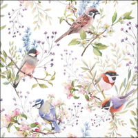 Guardanapo de Papel Decoupage 25x25 Busy Birds 12520390