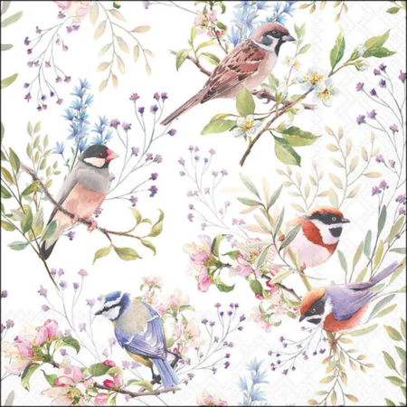 Guardanapo de Papel Decoupage 25x25 Busy Birds 12520390