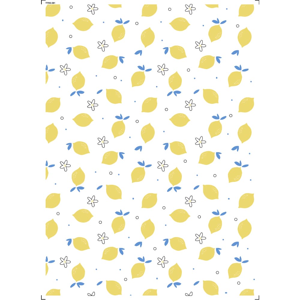 Transfer Têxtil 20x27,5cm TTR6-061 Estampinhas VI