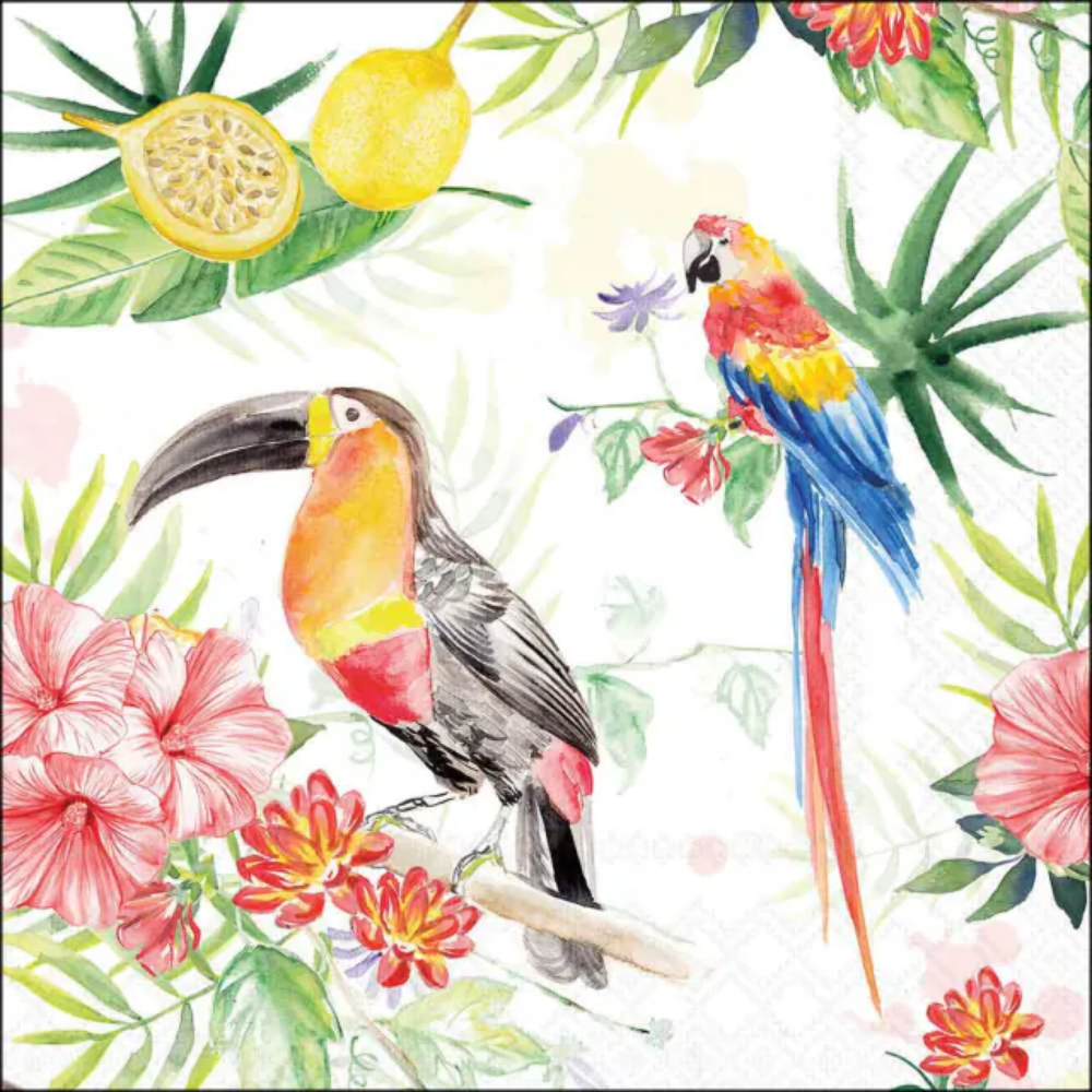 Guardanapo de Papel Decoupage 33x33 Tropical Birds 13320610
