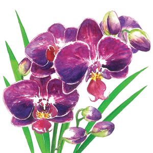Guardanapo de Papel Decoupage 33x33 Orquidea 133002628