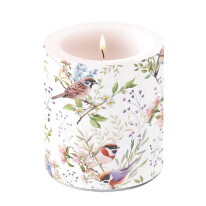 Guardanapo de Papel Decoupage 25x25 Busy Birds 12520390