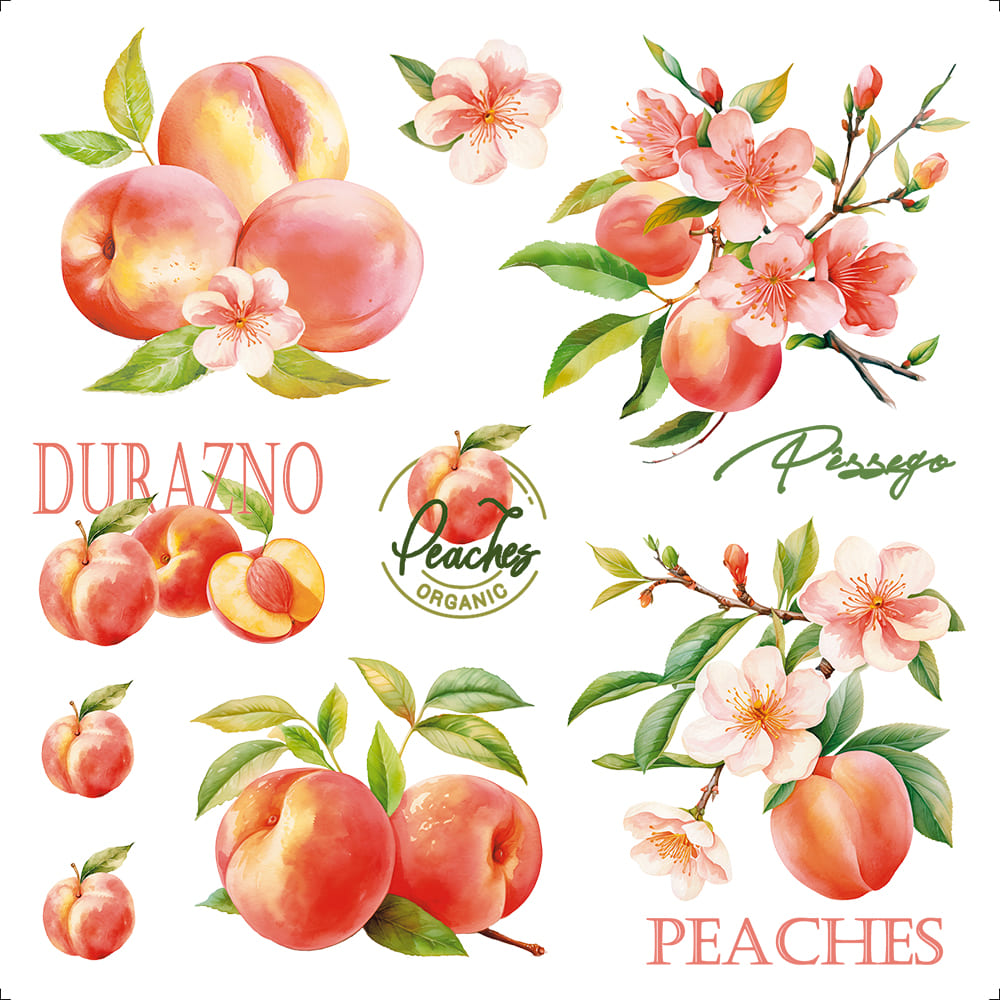Transfer Têxtil Litoarte 13,5x13,5cm TTQ4-080 Fruta Pêssegos